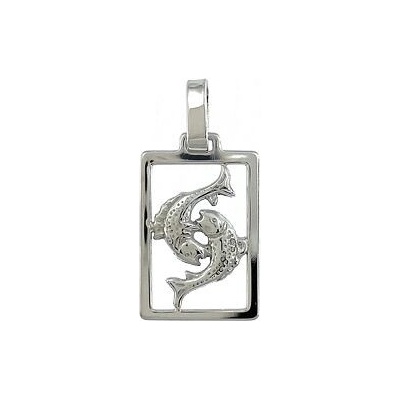 Infinitysilver Stříbrný přívěsek znamení ryby v rámečku 441105ryb