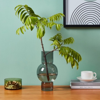 EGLO 421231 - Стъклена ваза AMPITABE 28x15, 5 см черна (EG421231)