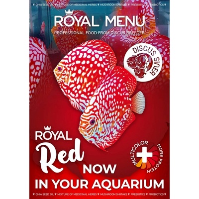 Discus-Siner Royal Menu Red M 300 ml, 130 g