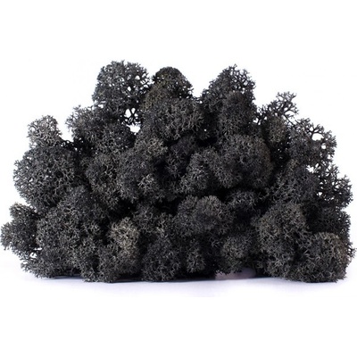 Stabilizovaný LIŠEJNÍK (sobí mech) Canopy | ČERNÝ | 100 g