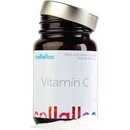 Collalloc Vitamín C 60 g