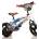 Dino Bikes Hot Wheels 12