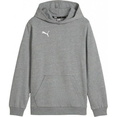 Puma teamGOAL Casuals Hoody Kids 658619-33