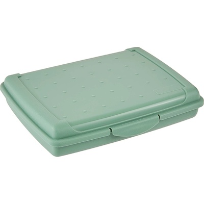 Keeeper box 17 x 13 x 3,5 severná zelená
