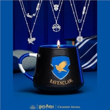 Charmed Aroma Harry Potter Ravenclaw - Bystrohlav 326 g