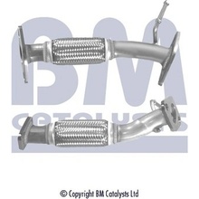 BM CATALYSTS BM50308