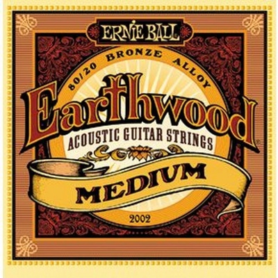 Ernie Ball 2002