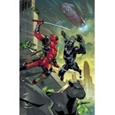 Black Panther vs Deadpool