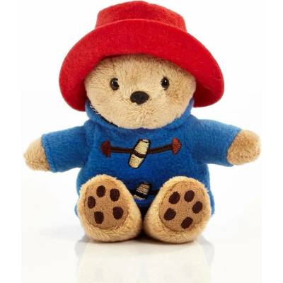 Rainbow Paddington mini