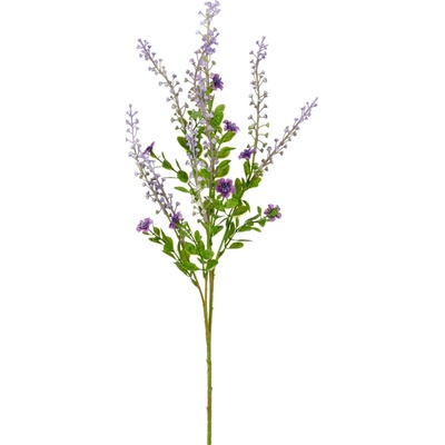 GASPER Trnovník x5 72 cm, fialová