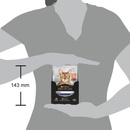 ProPlan Cat Housecat losos 26 x 85 g