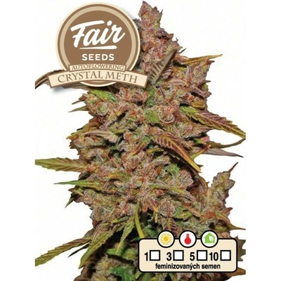 FAIR SEEDS Crystal Meth AUTO semena neobsahují THC 3 ks