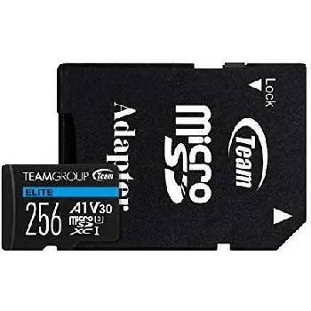 Team Group microSDXC 256GB TEAUSDX256GIV30A103