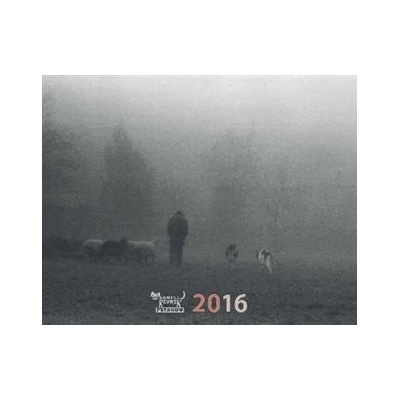 Daniel Reynek stolní černobílý 2016