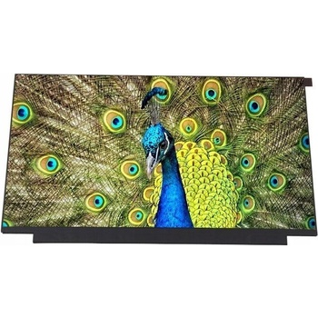 LCD MAT FHD IPS LENOVO THINKPAD L15 gen 1 2