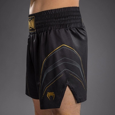 Venum Streamline černo/zlaté