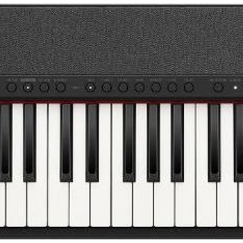 Casio CT S1-76