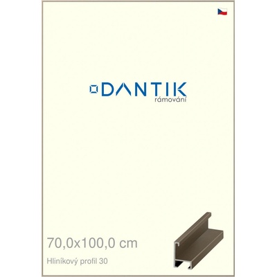 DANTIK rám na obraz 70 x 100 champagne
