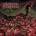Internal Bleeding - Settle ALL Scores CD