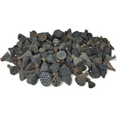 Sušené Lotosové kvety mini - 2cm 80g - prírodné