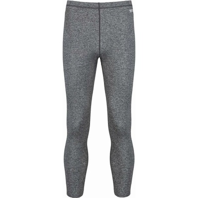 Cxs Pánské funkční spodky ACTIVE šedé – Hledejceny.cz