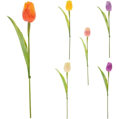 KS TULIPÁN 6F 42cm