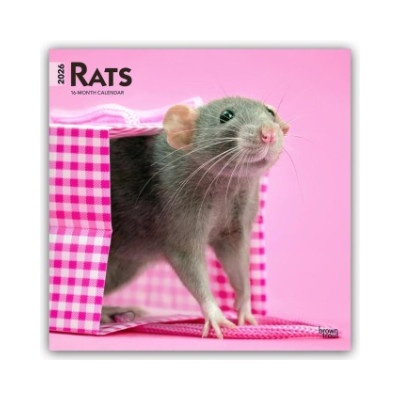 Browntrout Verlags GmbH Rats - Ratten 2026 - 16-Monatskalender | BrownTrout Publishers Inc