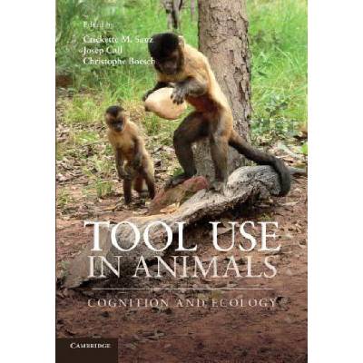 Tool Use in Animals | Crickette Sanz, Josep Call, Christophe Boesch