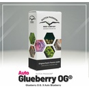 Dutch Passion AUTO Glueberry O.G. semena neobsahují THC 3 ks