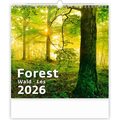 Helma nástěnný Forest/Wald/Les 30 × 30 cm 2026 – Zbozi.Blesk.cz