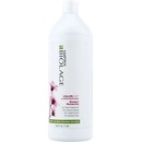 Matrix Biolage ColorLast Shampoo 1000 ml