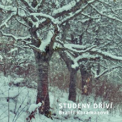 Bratři Karamazovi - Studený dříví CD
