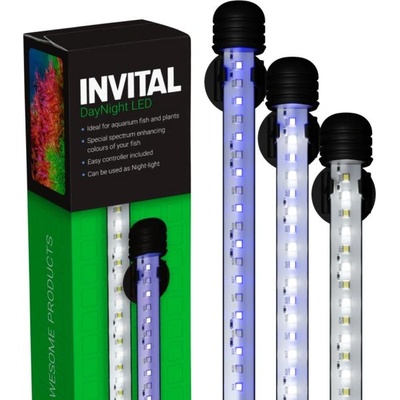 INVITAL DayNight LED 15, 6W 74, 5см (Z06245)