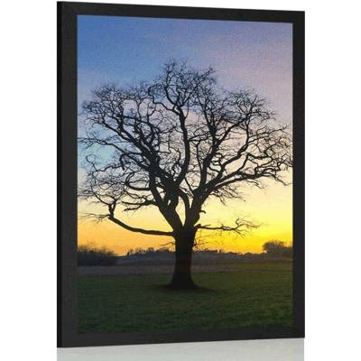 Plakát okouzlující strom - 60x90 no frame