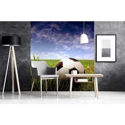 Dimex MS-3-0305 vliesová fototapeta na zeď Fotbalový míč rozměry 225 x 250 cm