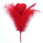 Arpex Spade Decoration HEART WITH FEATHERS (WA7491)