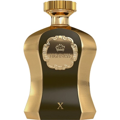 Afnan Highness X parfémovaná voda pánská 100 ml