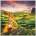 MANCUSO, MATTEO - JOURNEY CD