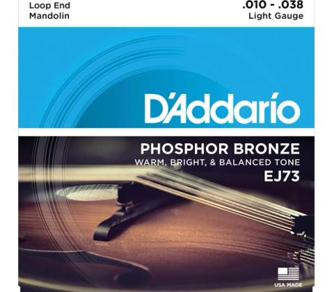 D'ADDARIO EJ73