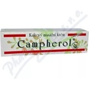 Masážne prípravky Campherol kafrový masážny krém 50 g