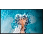 Hisense 55DM66D
