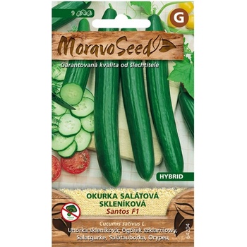 Uhorka šalátová do skleníka SANTOS F1 - hybrid 64204