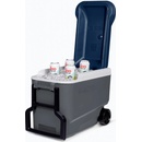 Igloo MAXCOLD 40