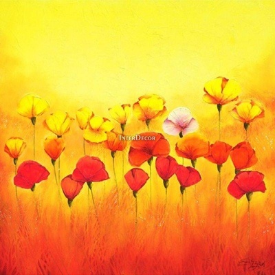 Máky 1 deska 70x70