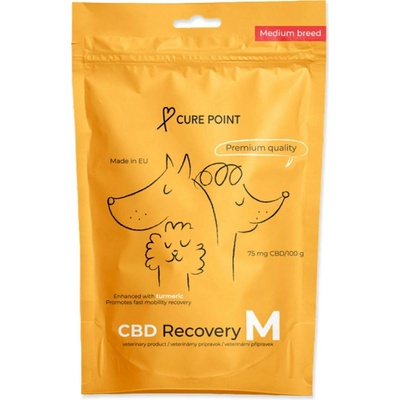 Cure Point CBD Recovery M 100 g