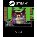 Druid