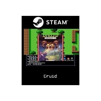 Druid