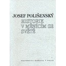 Historik v měnícím se světě - Polišenský Josef