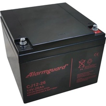 Alarmguard 12V 26Ah 390A