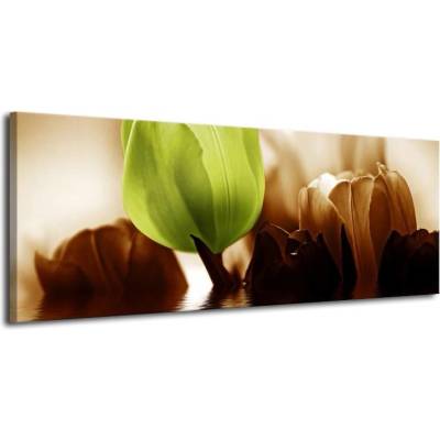 Obraz tulipánů plátno 1 100x40